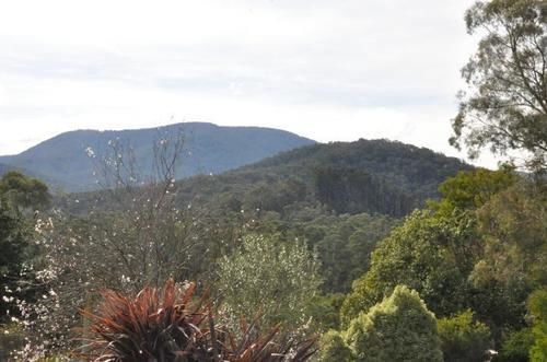 Healesville Maroondah View Motel Buitenkant foto